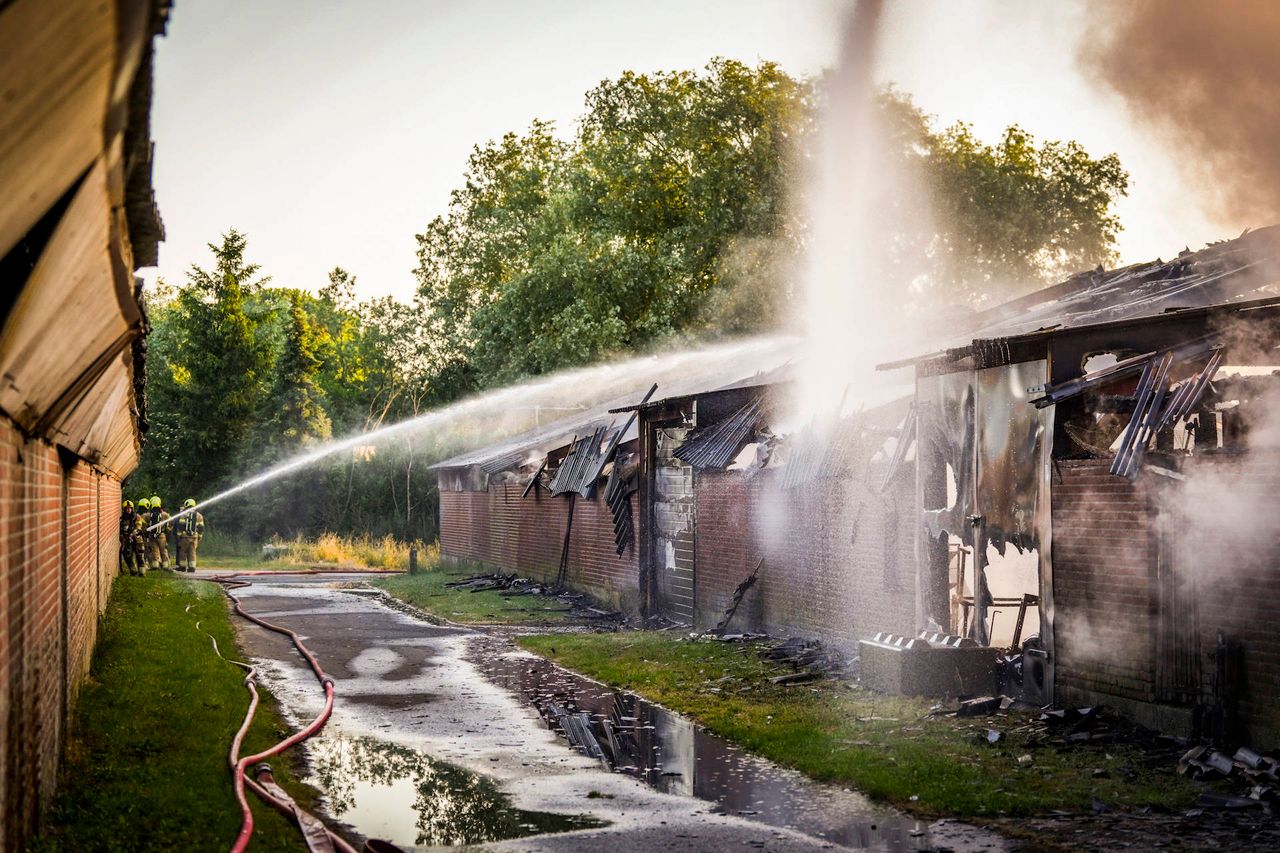 Foto: Persbureau Heitink.