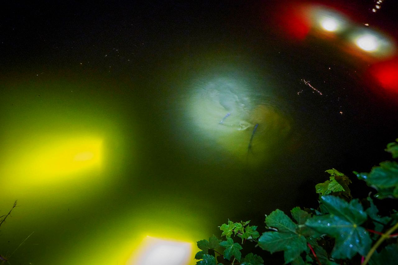 Foto: Persbureau Heitink.