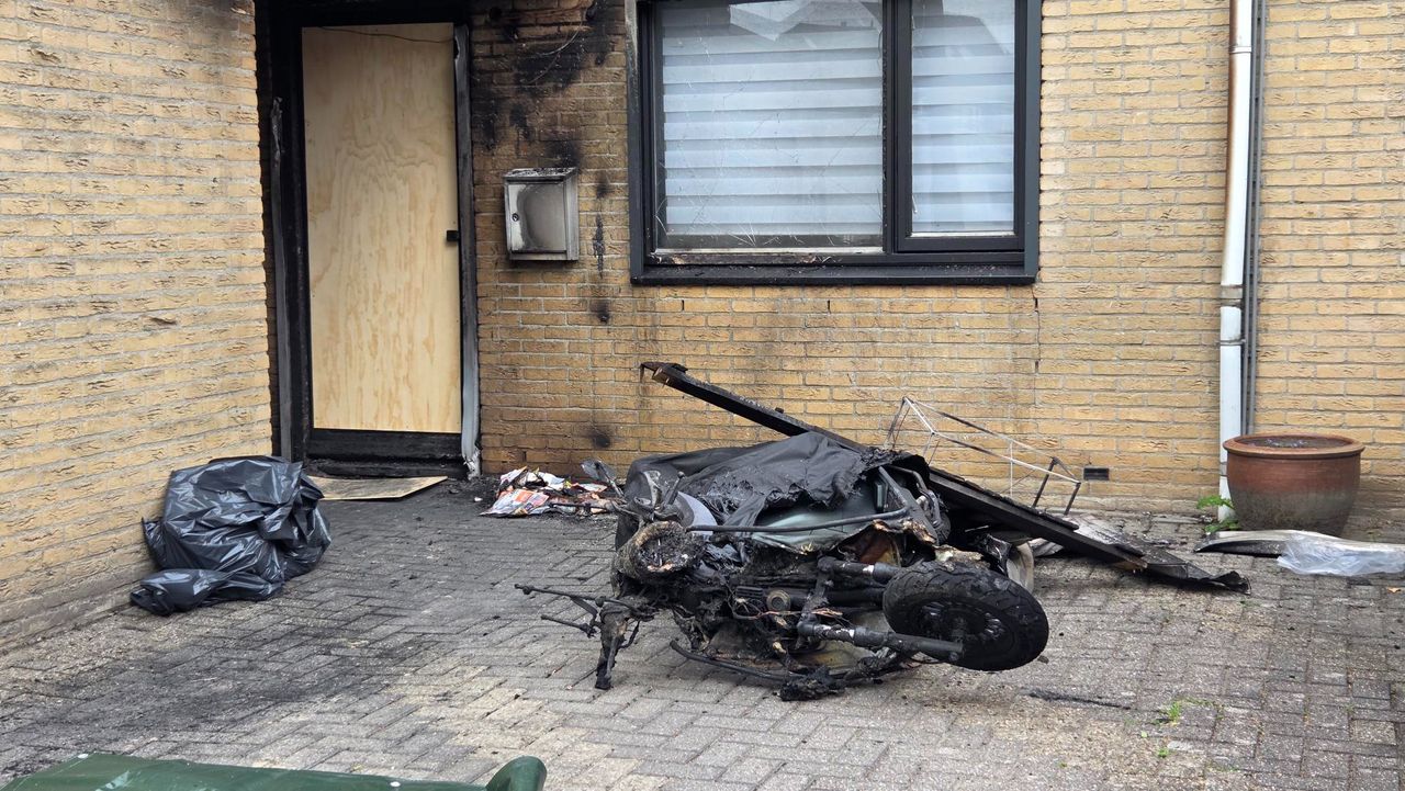 Foto: Noël van Hooft.