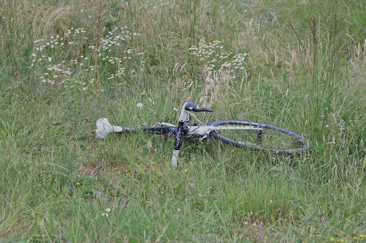 Foto: Perry Roovers / Persbureau Heitink.