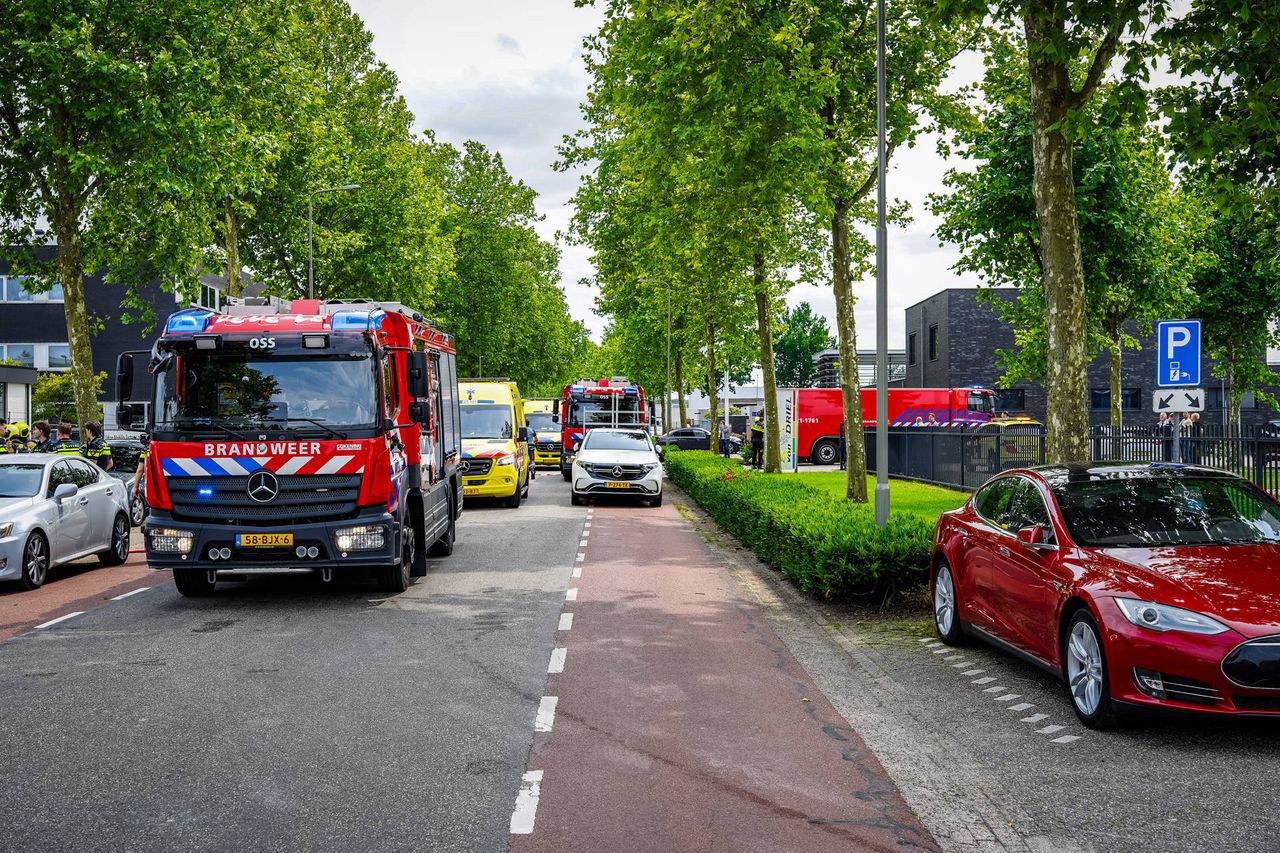 Foto: Lucas Lammers/Persbureau Heitink.