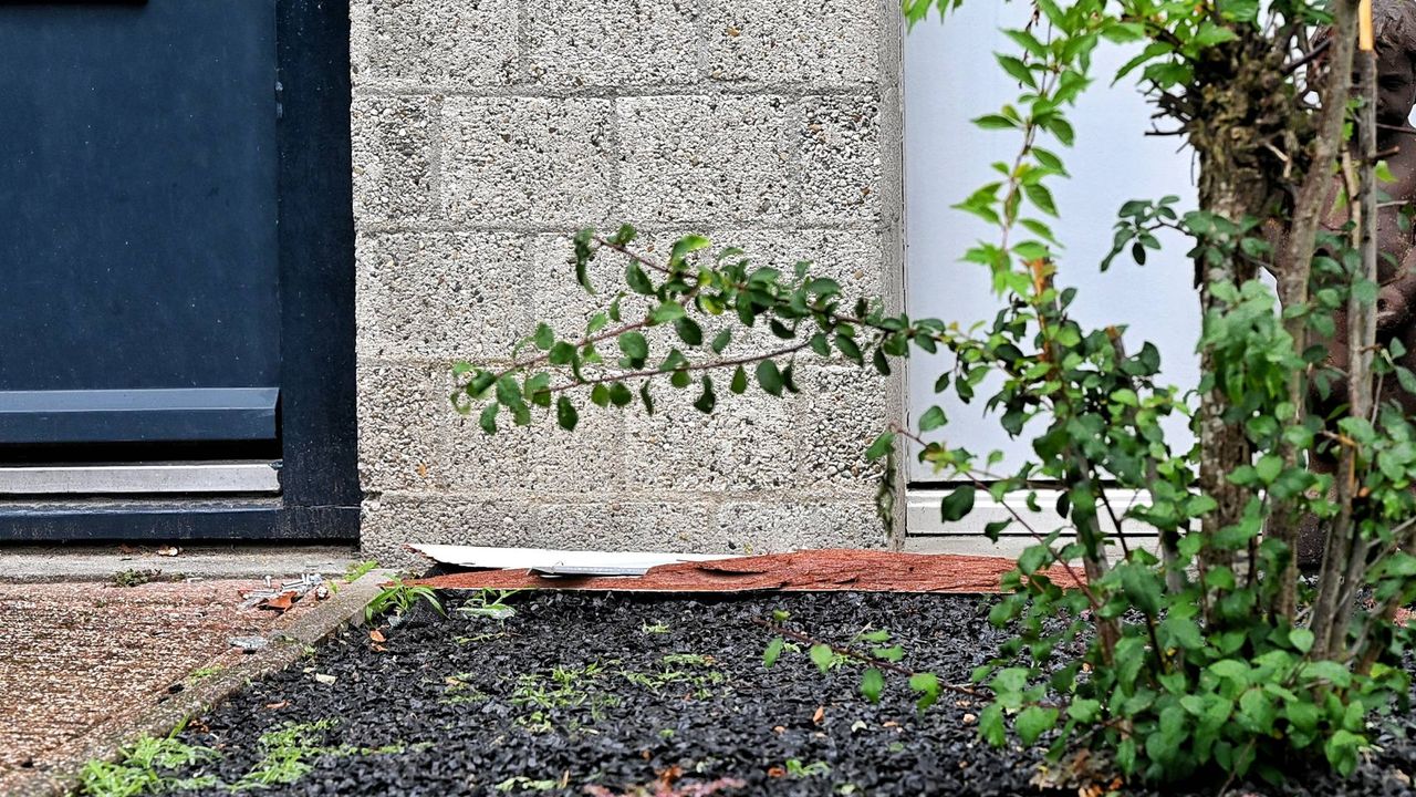 Foto: Persbureau Heitink.