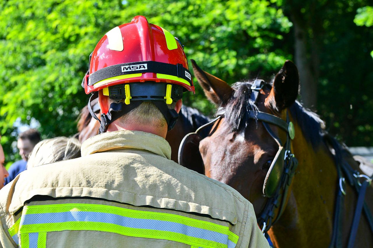 Foto: Rico Vogels Persbureau Heitink.
