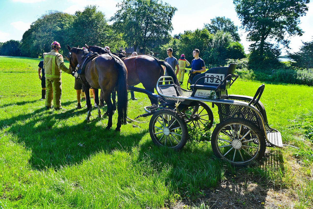 Foto: Rico Vogels Persbureau Heitink.