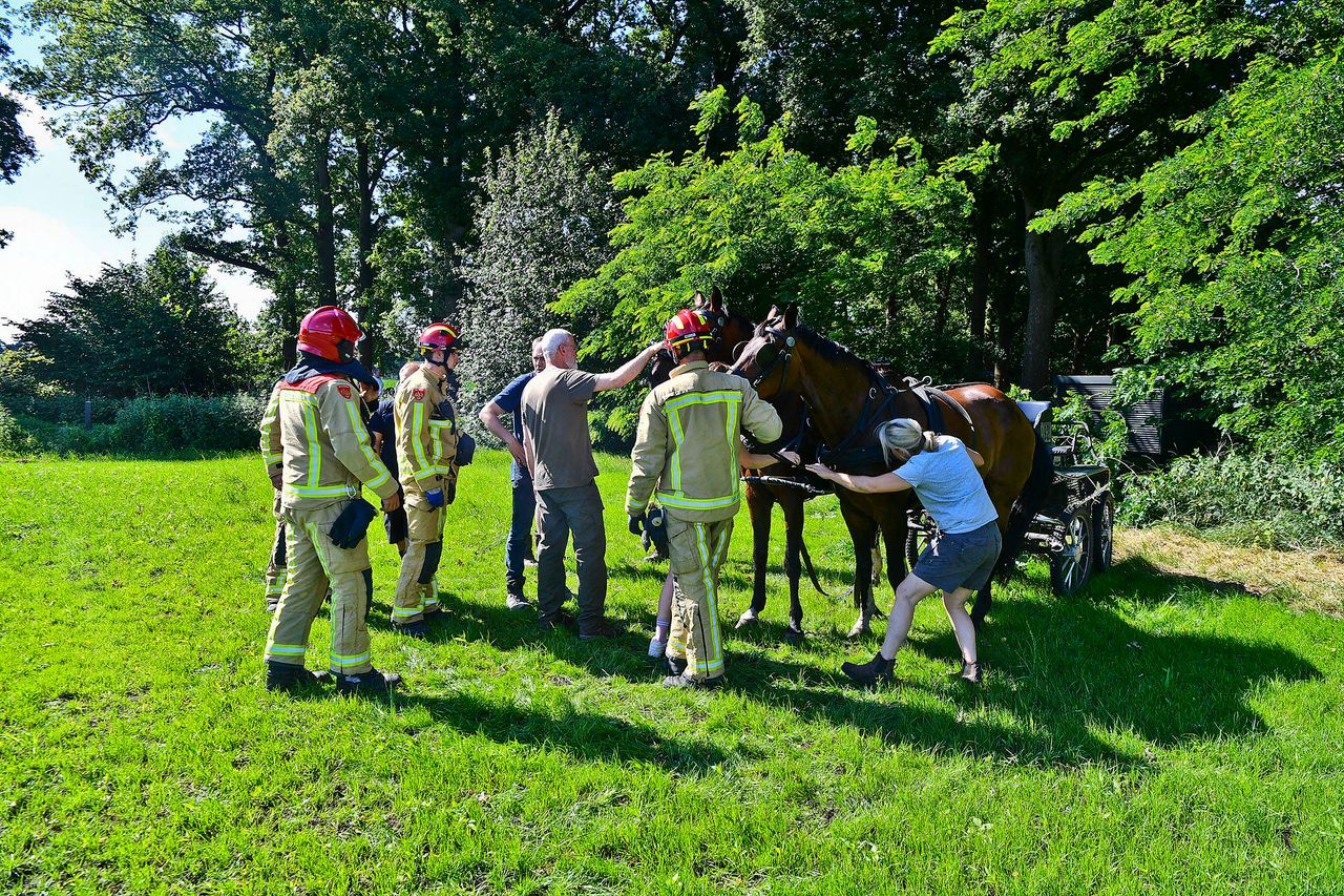 Foto: Rico Vogels Persbureau Heitink.