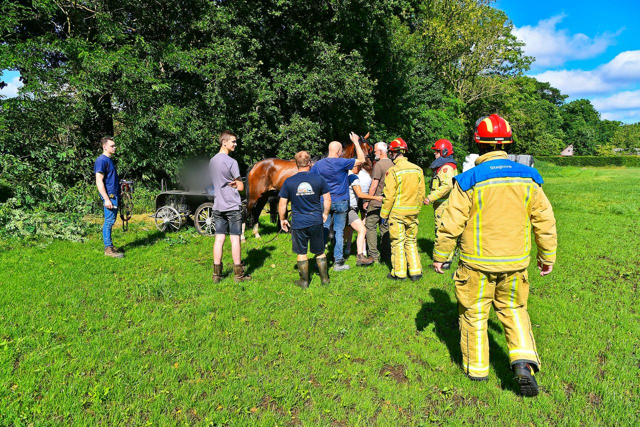 Foto: Rico Vogels Persbureau Heitink.