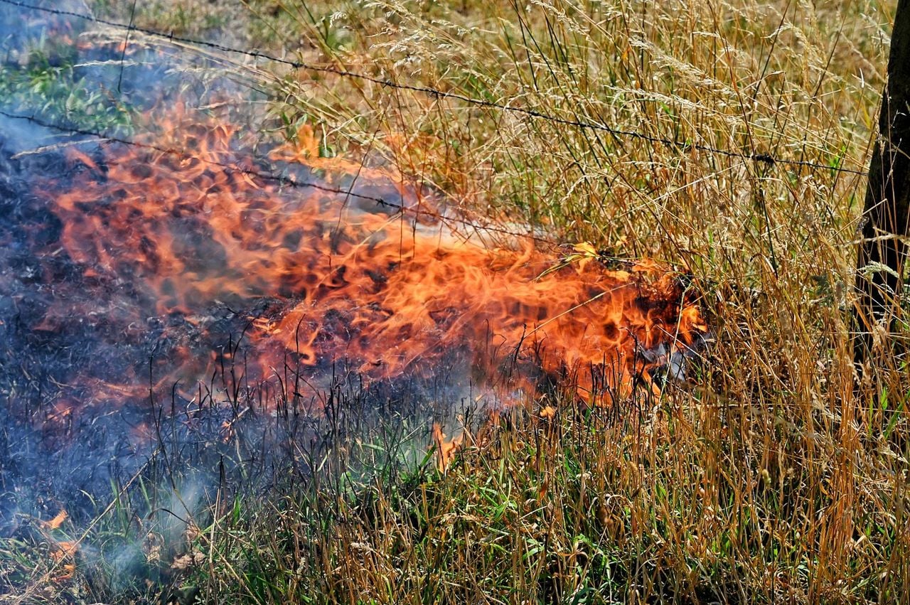 Foto: Toby de Kort/Persbureau Heitink