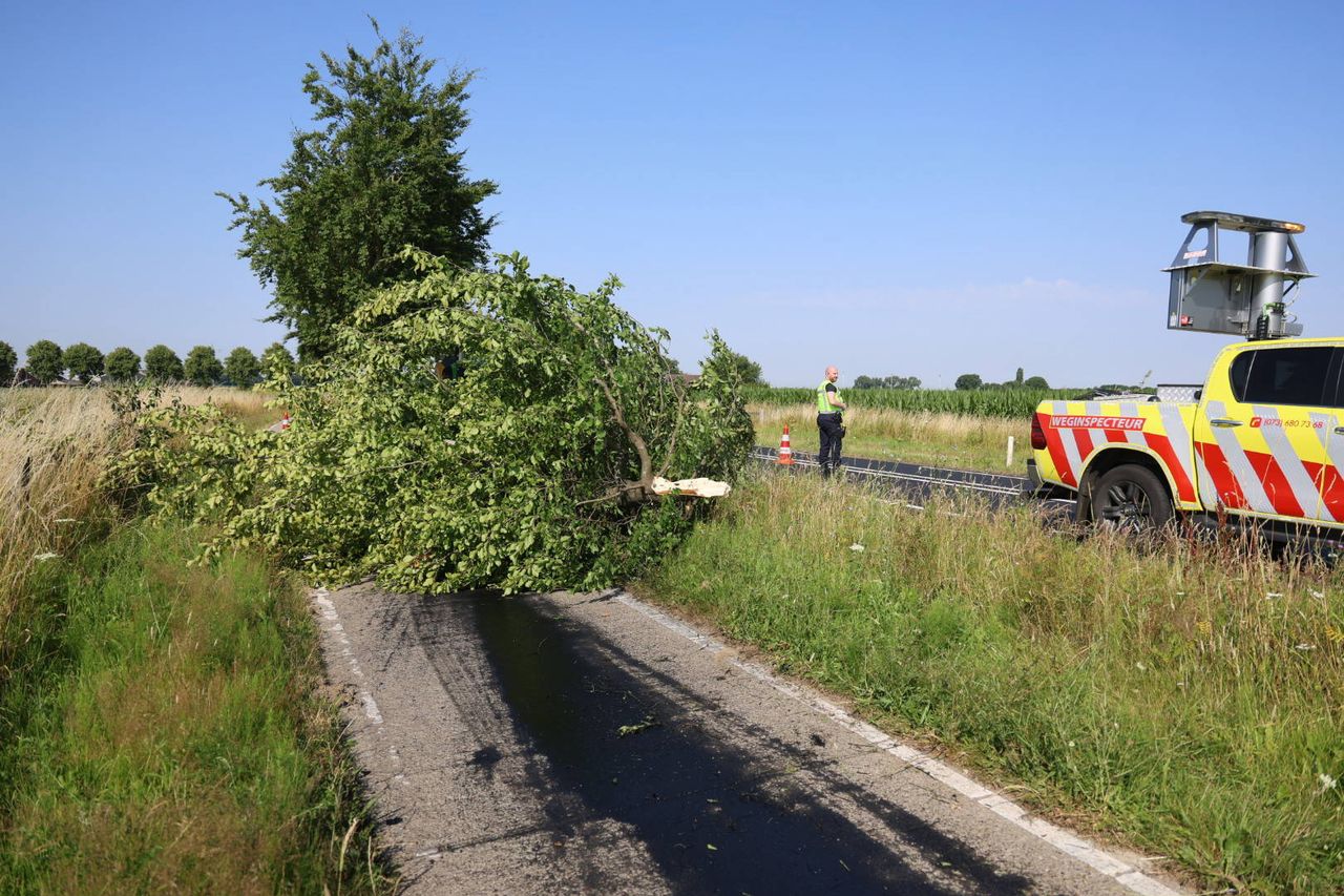 Foto: Saskia Kusters/Persbureau Heitink.