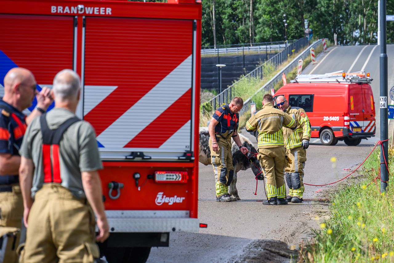 Foto: Tom van der Put/Persbureau Heitink.