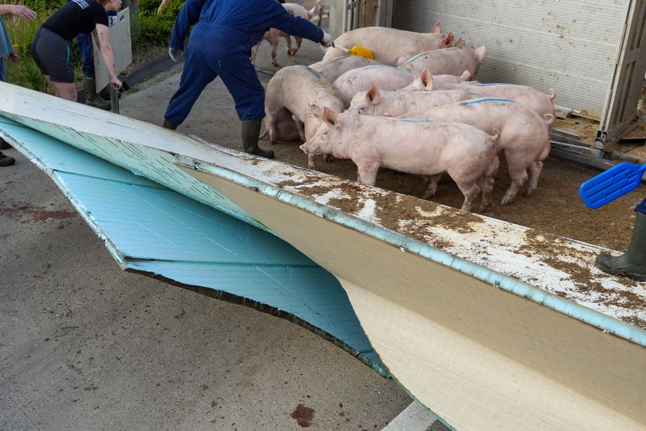 Foto: Harrie Grijseels/Persbureau Heitink.