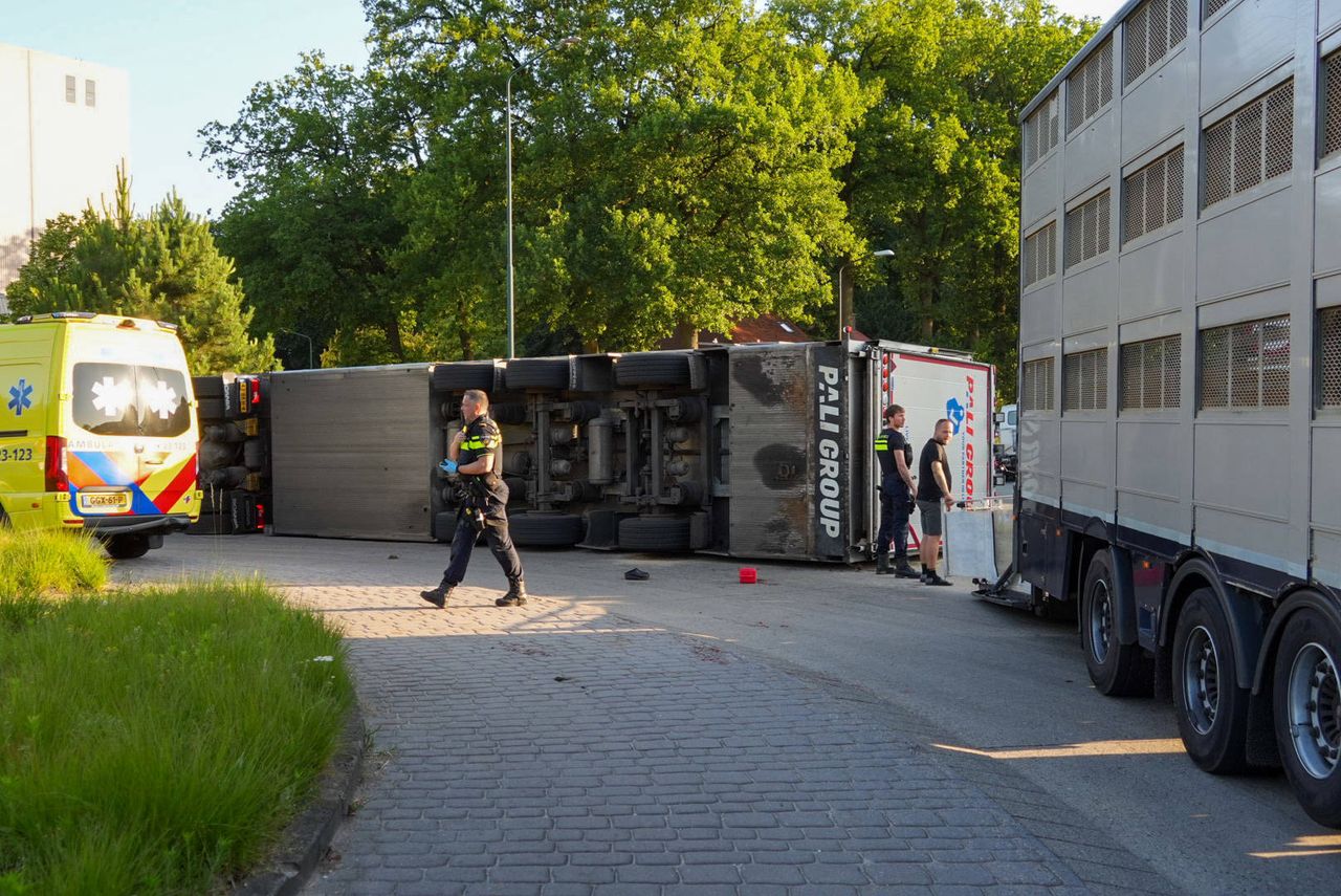 Foto: Harrie Grijseels/Persbureau Heitink.