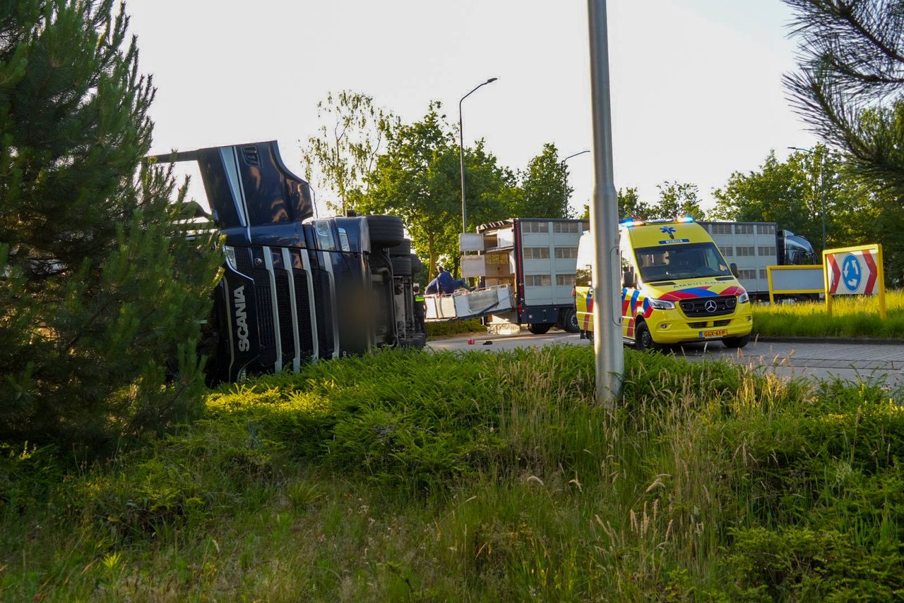 Foto: Harrie Grijseels/Persbureau Heitink.
