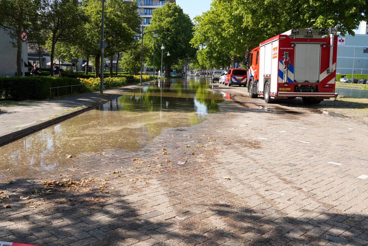 Foto: Harrie Grijseels / Persbureau Heitink