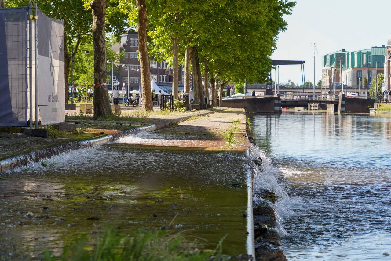 Foto: Harrie Grijseels / Persbureau Heitink