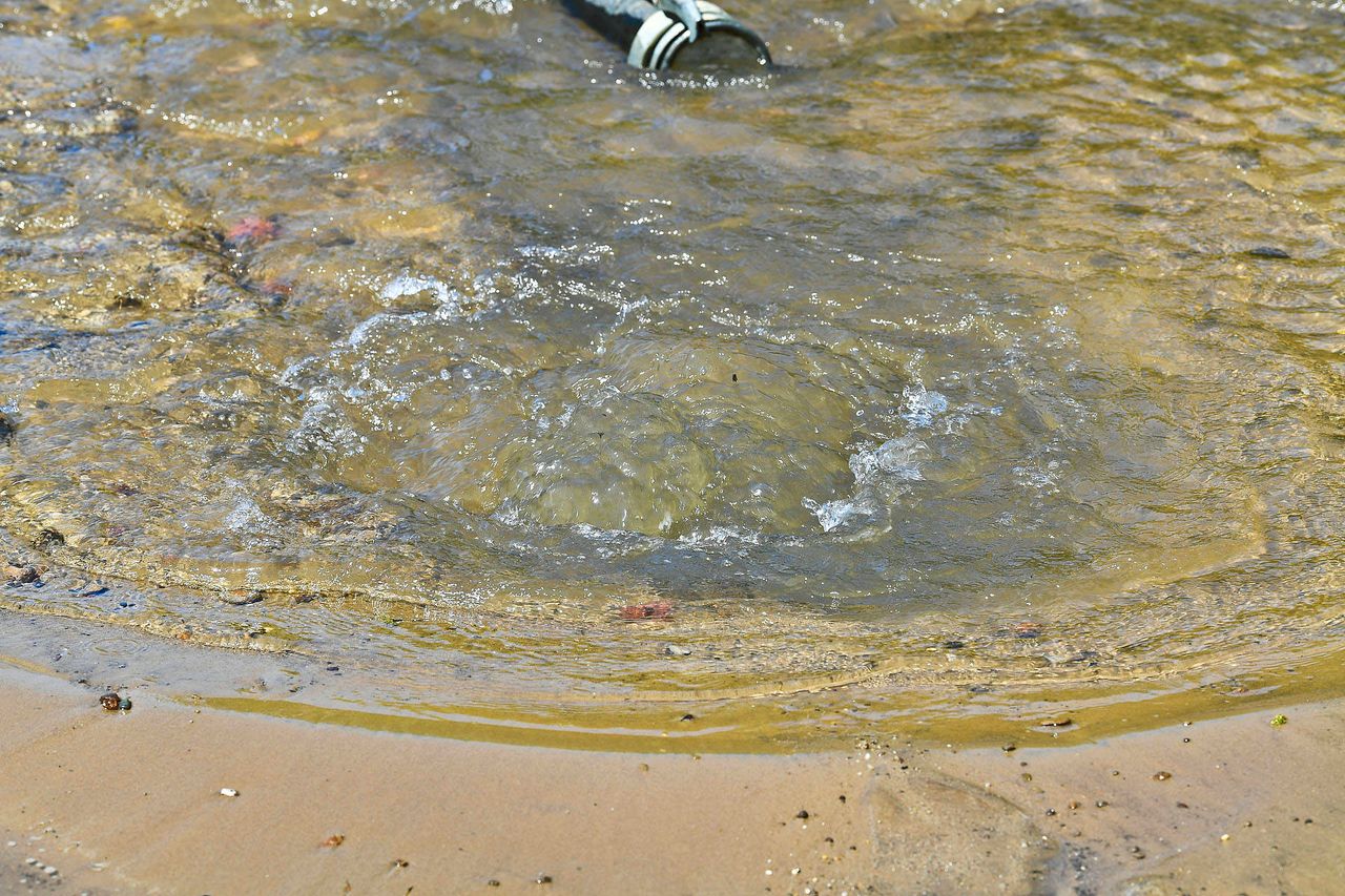 Foto: Rico Vogels/Persbureau Heitink.