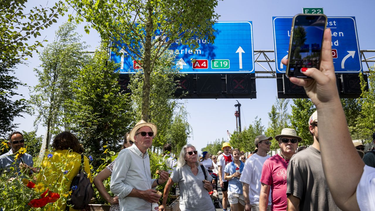 Op de A10 zorgen de bomen uit Cuijk voor schaduw (foto: ANP)