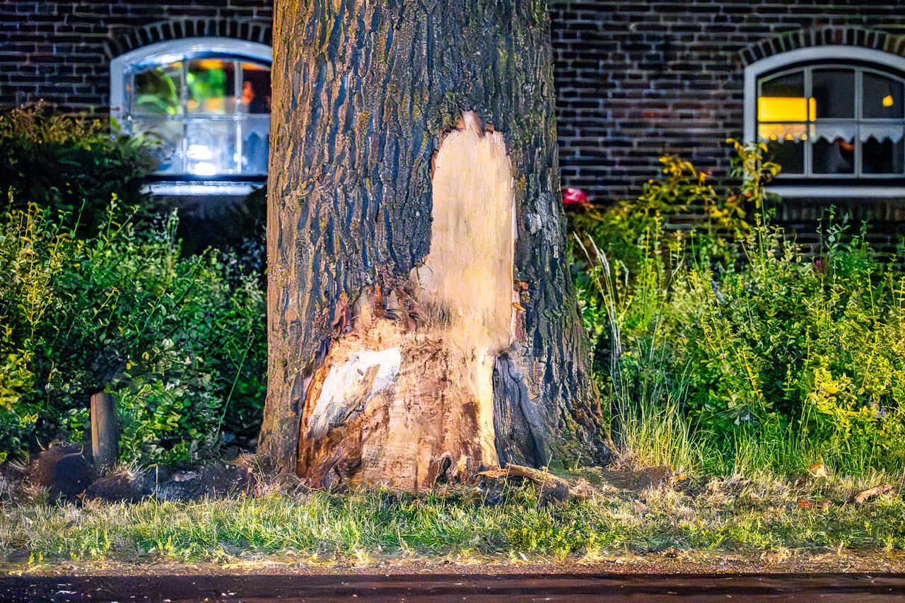 Foto: Lucas Lammers/Persbureau Heitink.