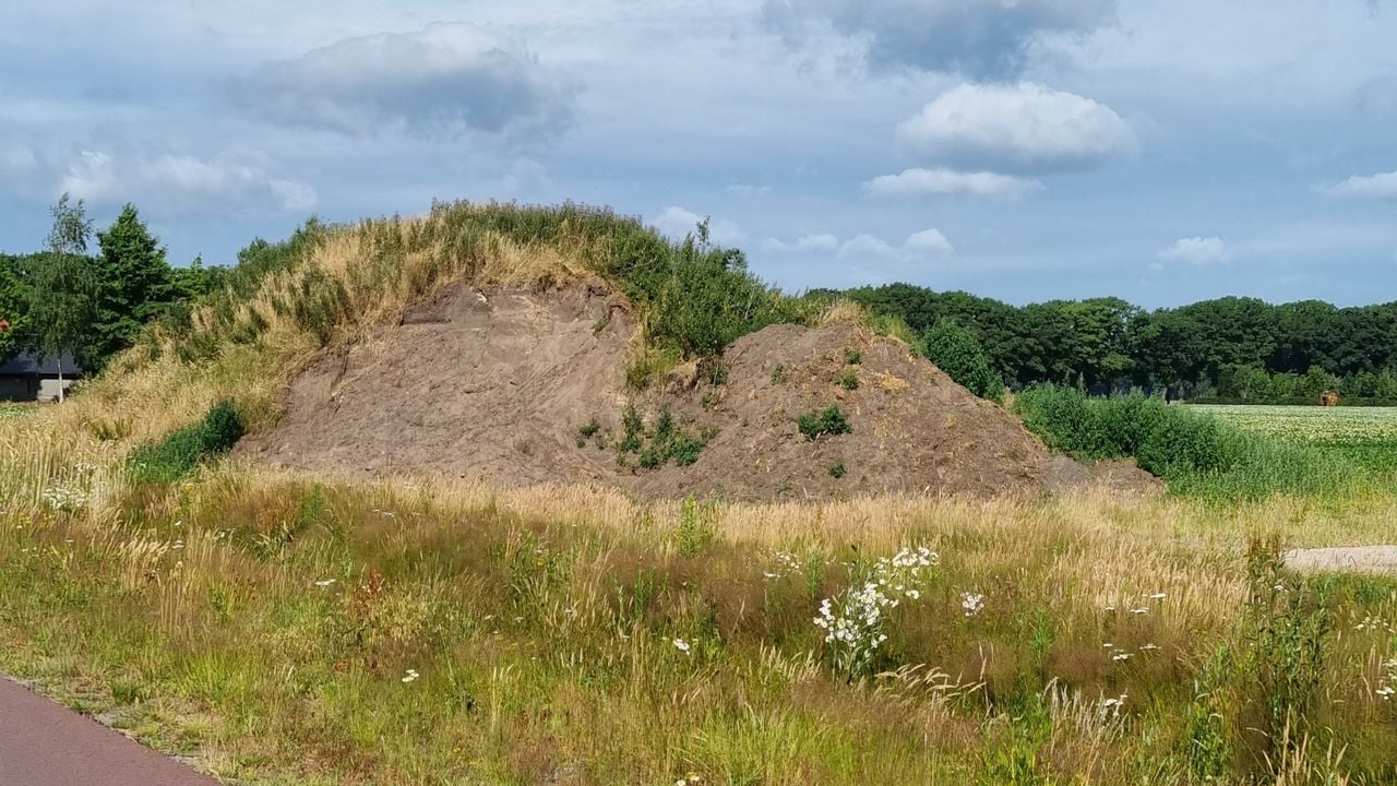 De berg waarin de nestjes lagen (foto: dierenpolitie).