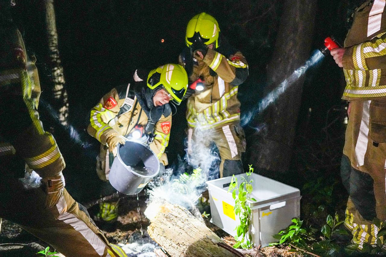 Foto: Erik Haverhals/Persbureau Heitink. 