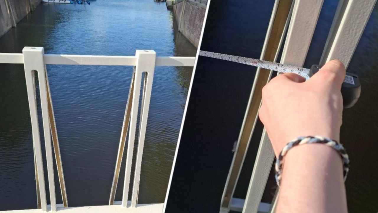 De spijlen van de brug staan ruim 40 centimeter uit elkaar (Foto's: SP Breda).