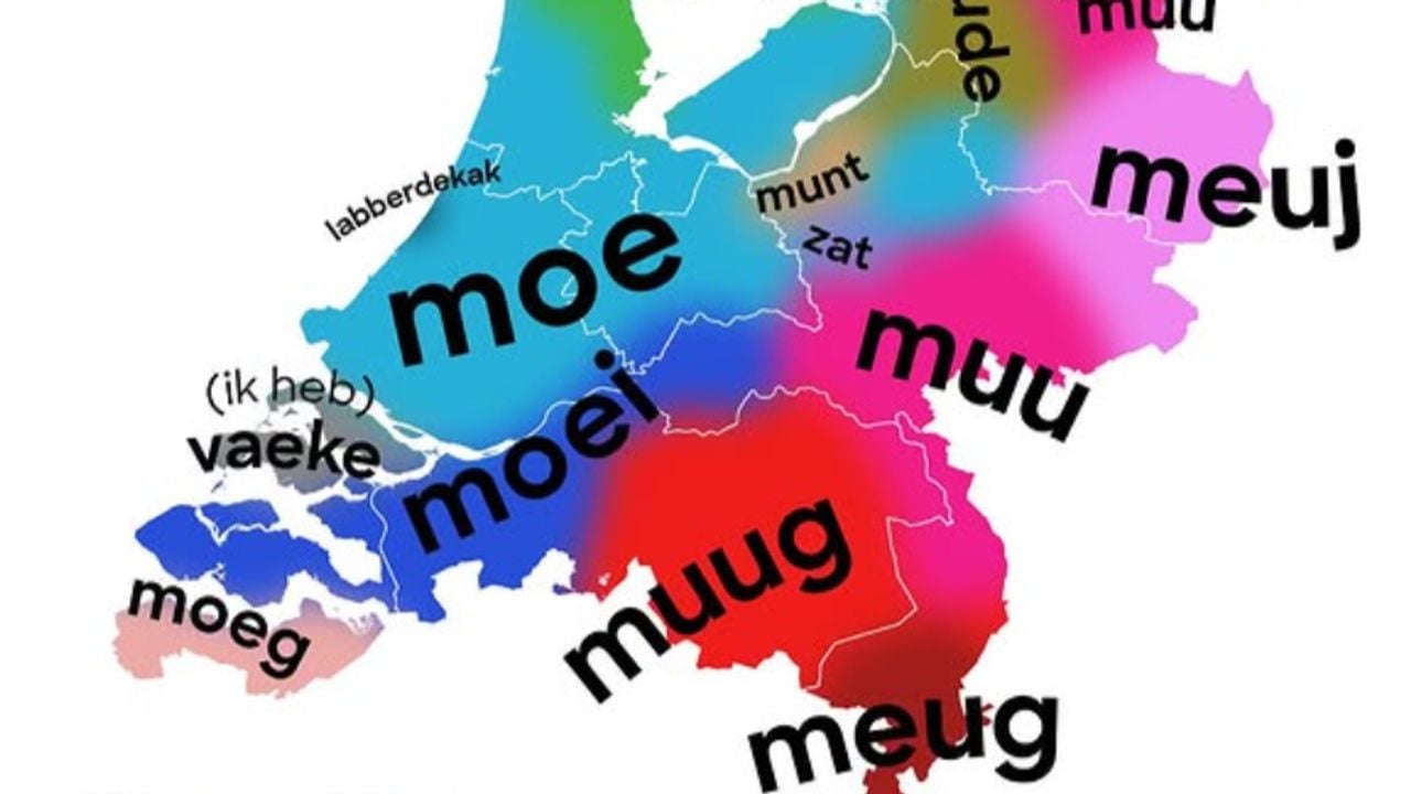 Hoe zeg je moe in jouw regio? (Foto: Geographic.designer).