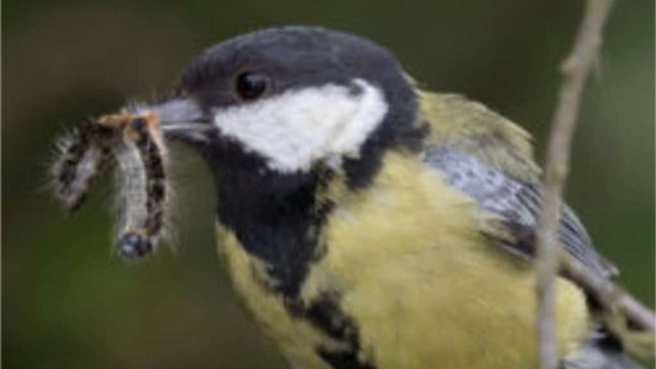 Lekker! (foto: provincie).