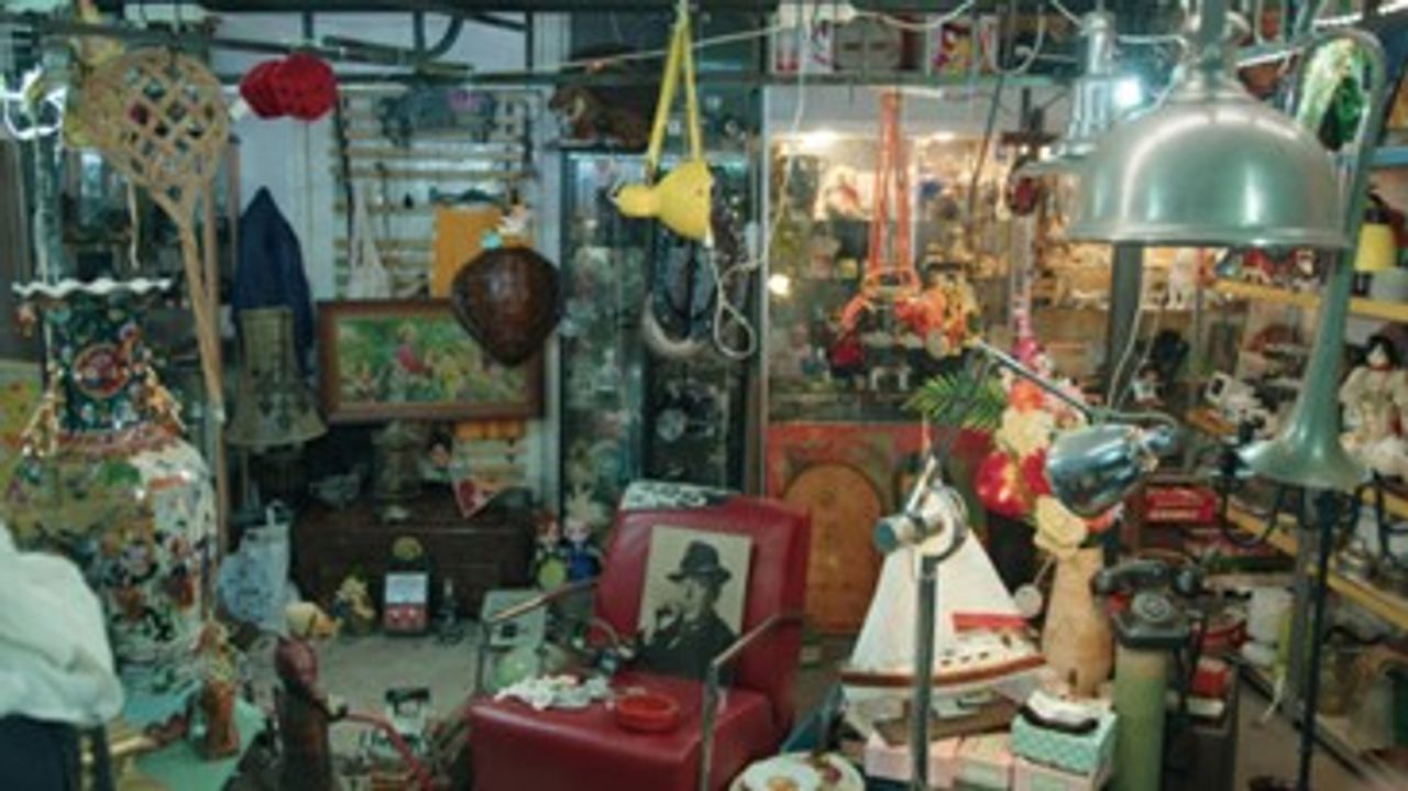 De verzamelwoede van kunstenaar Hans de Waal is groot (foto: Merlijn en de Nachtbrakers)