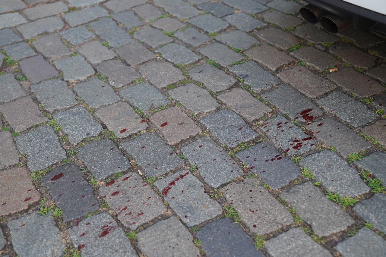 Foto: Bart Meesters/Meesters Multi Media.