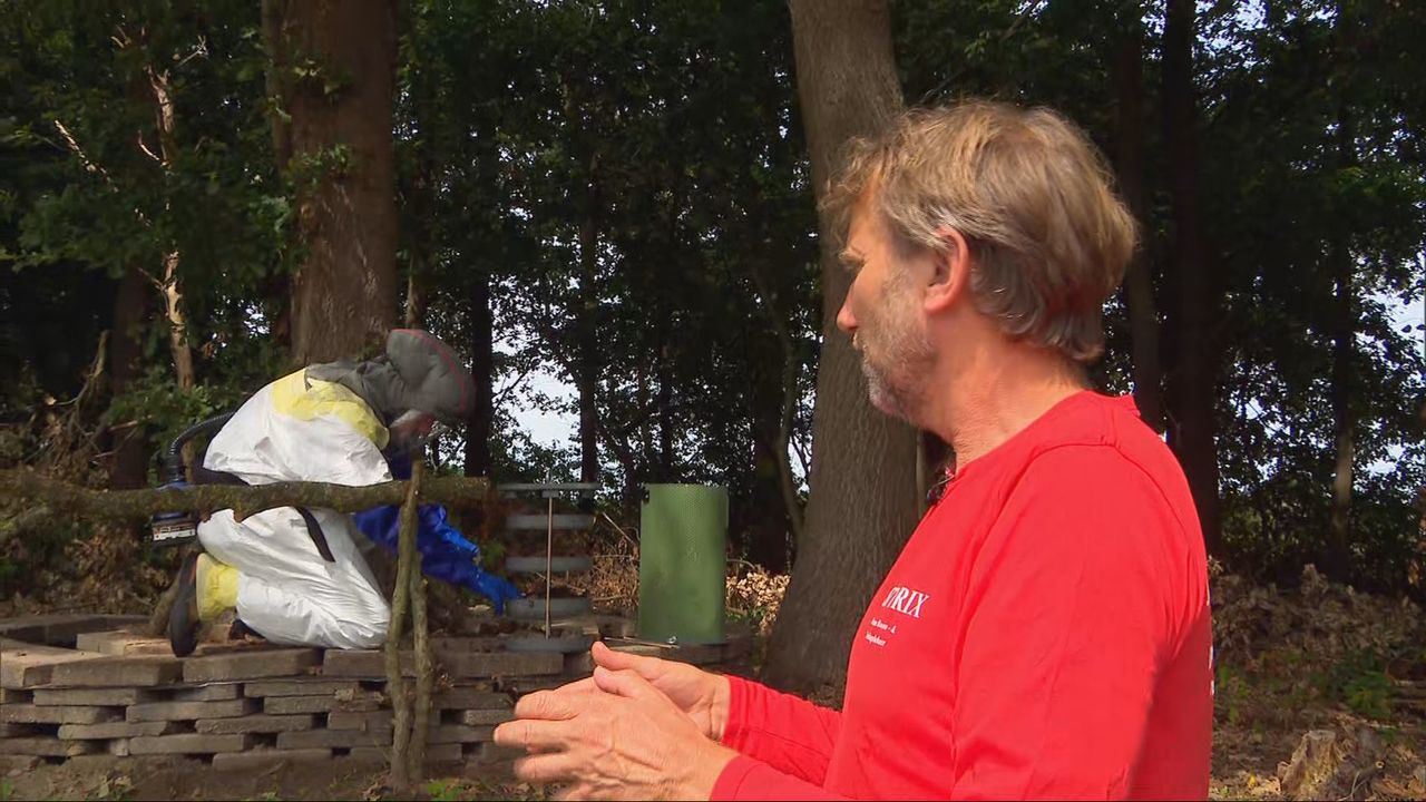 Een groen vlinderfilterhotel, zoals hier op de foto, voorkomt tot wel honderdduizend rupsen (foto: Omroep Brabant).