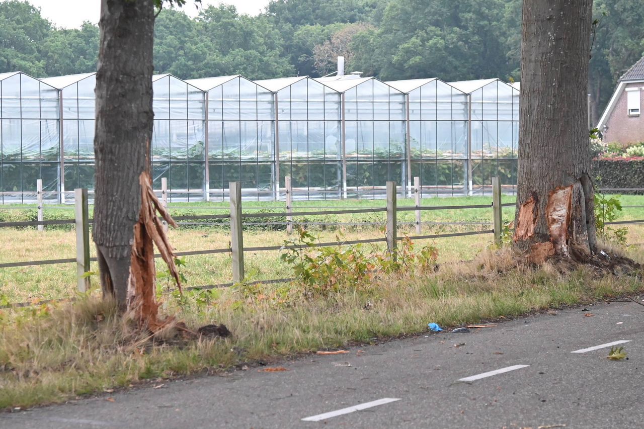 Foto: Perry Roovers/Persbureau Heitink.