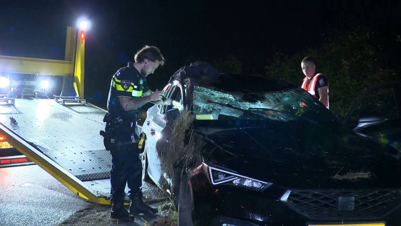 Foto: Persbureau Heitink.