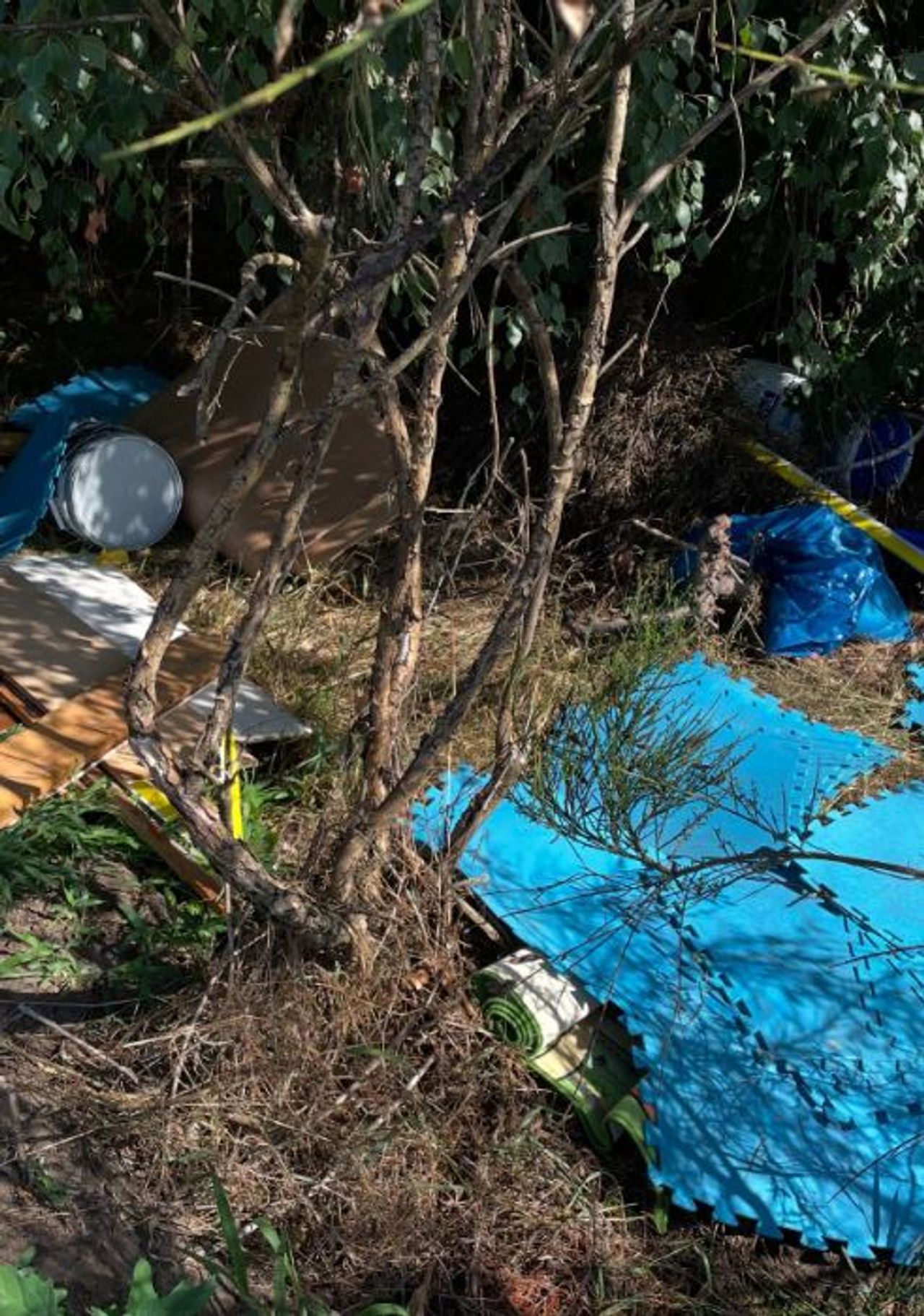 Foto: Instagram boswachter Wouter.