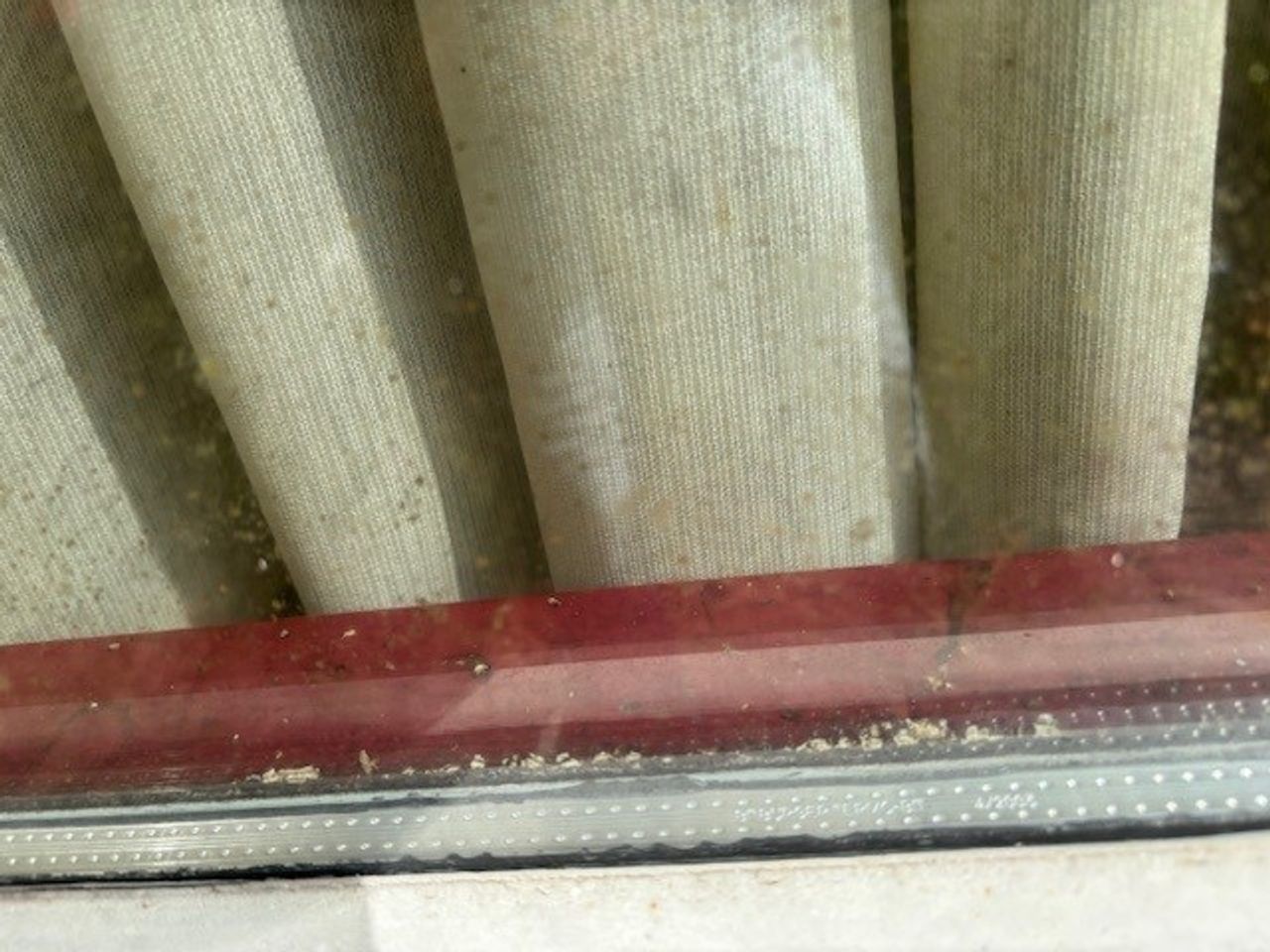 Foto: Marie-Louise Maagdenburg.