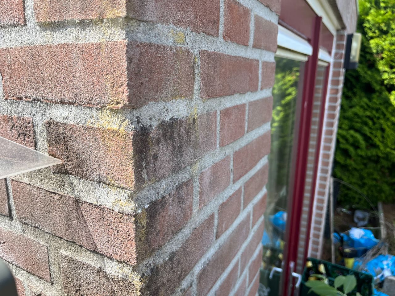 De schimmel zit ook bij Marie-Louise al op de buitenmuur (foto: Omroep Brabant).