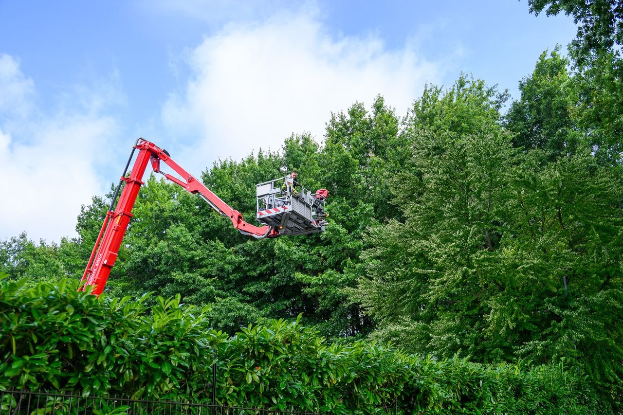 Foto: Tom van der Put/Persbureau Heitink.