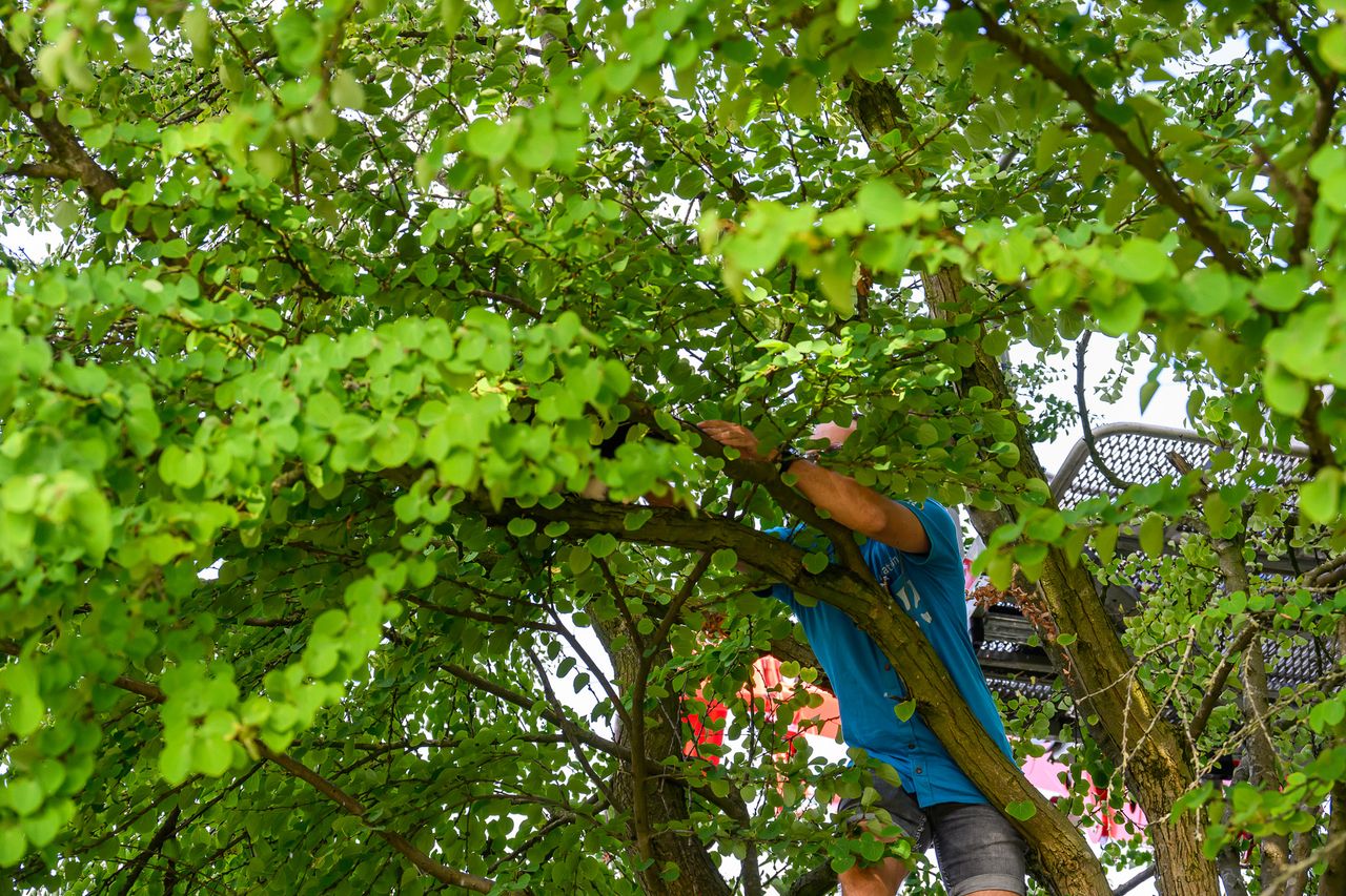 Foto: Tom van der Put/Persbureau Heitink.