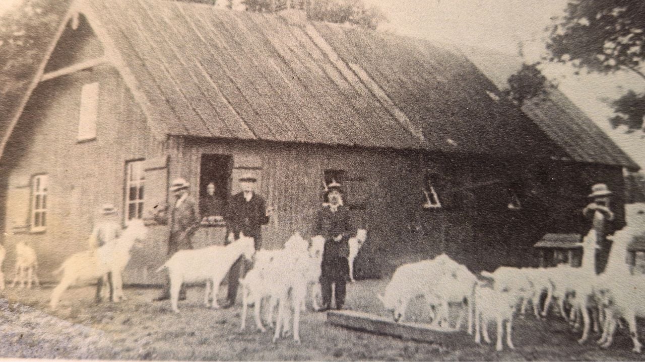 De bokkenschuur in Dorst (foto: Henk van Ingen/Omroep Brabant).