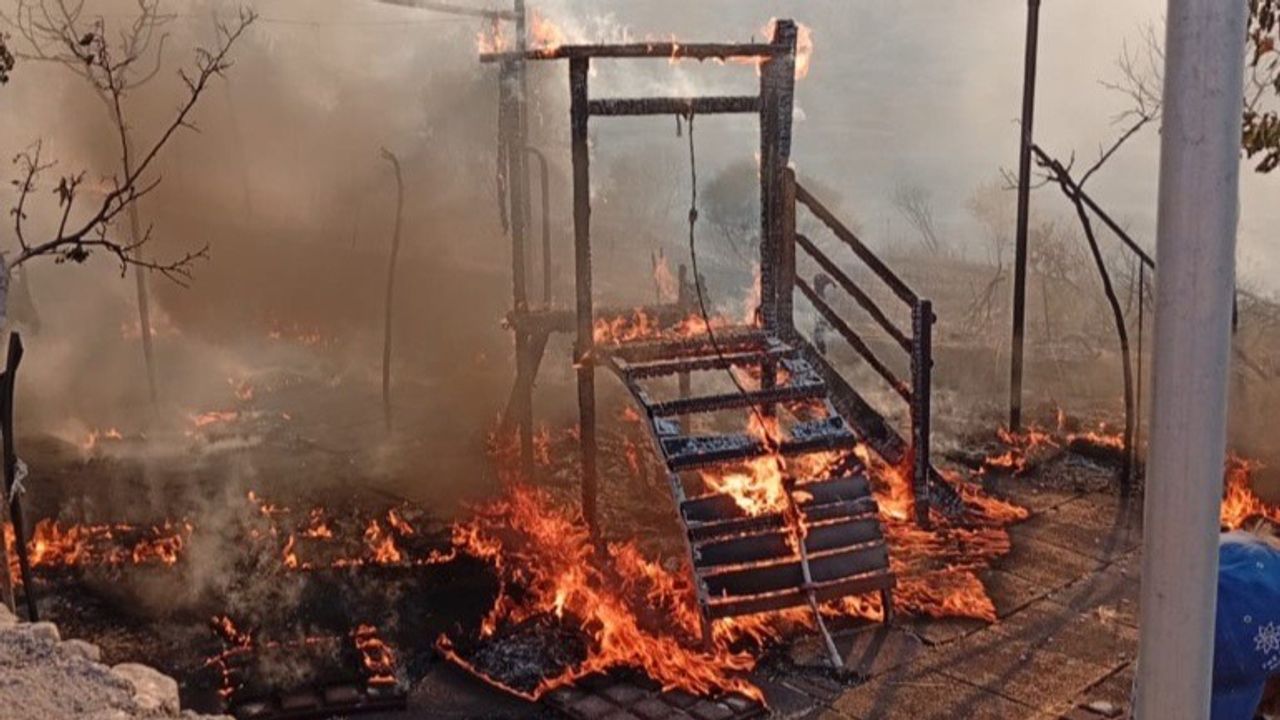 Een speelplek voor kinderen die de dieren komen bezoeken (eigen foto).
