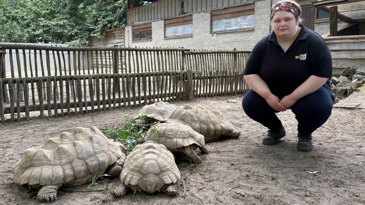 Nikki vindt het geweldig dat ze bijzondere dieren van dichtbij mag verzorgen (foto: Floor Foole).