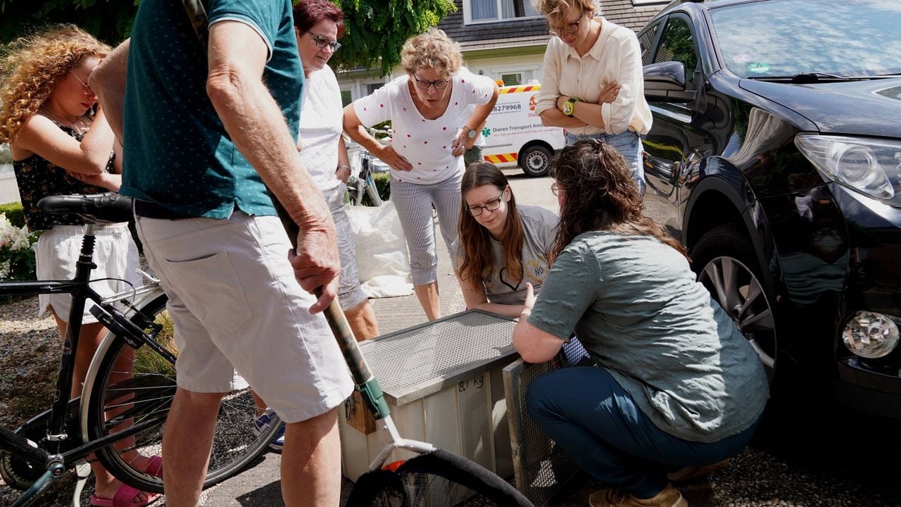 Ook bewoners helpen mee (foto: Bart Meesters/Persbureau Heitink).
