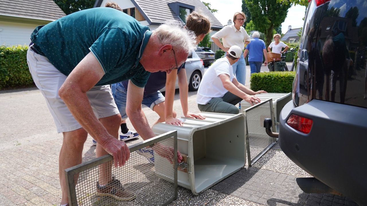 Kom maar onder de auto vandaan dasje (foto: Bart Meesters/Persbureau Heitink).