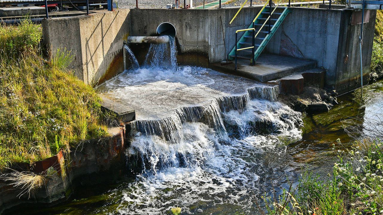 Foto: Rico Vogels/Persbureau Heitink.