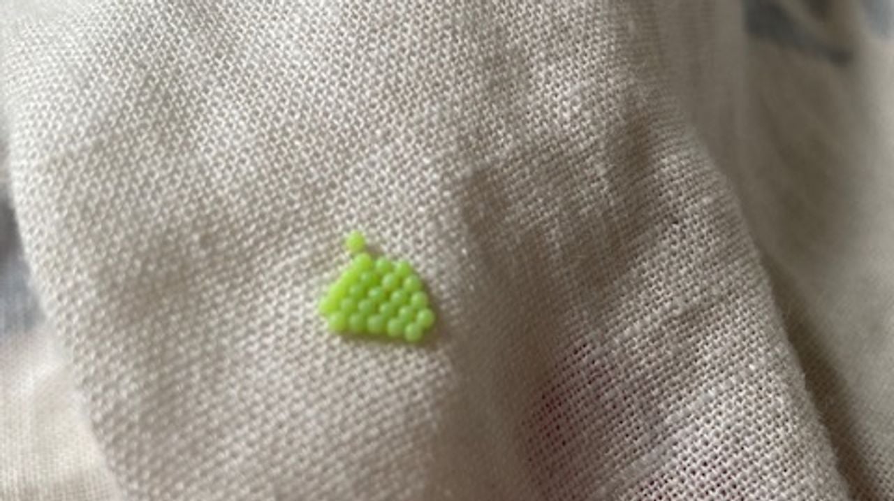 Groene eitjes (foto: Gemma van de Klundert-Bertens).