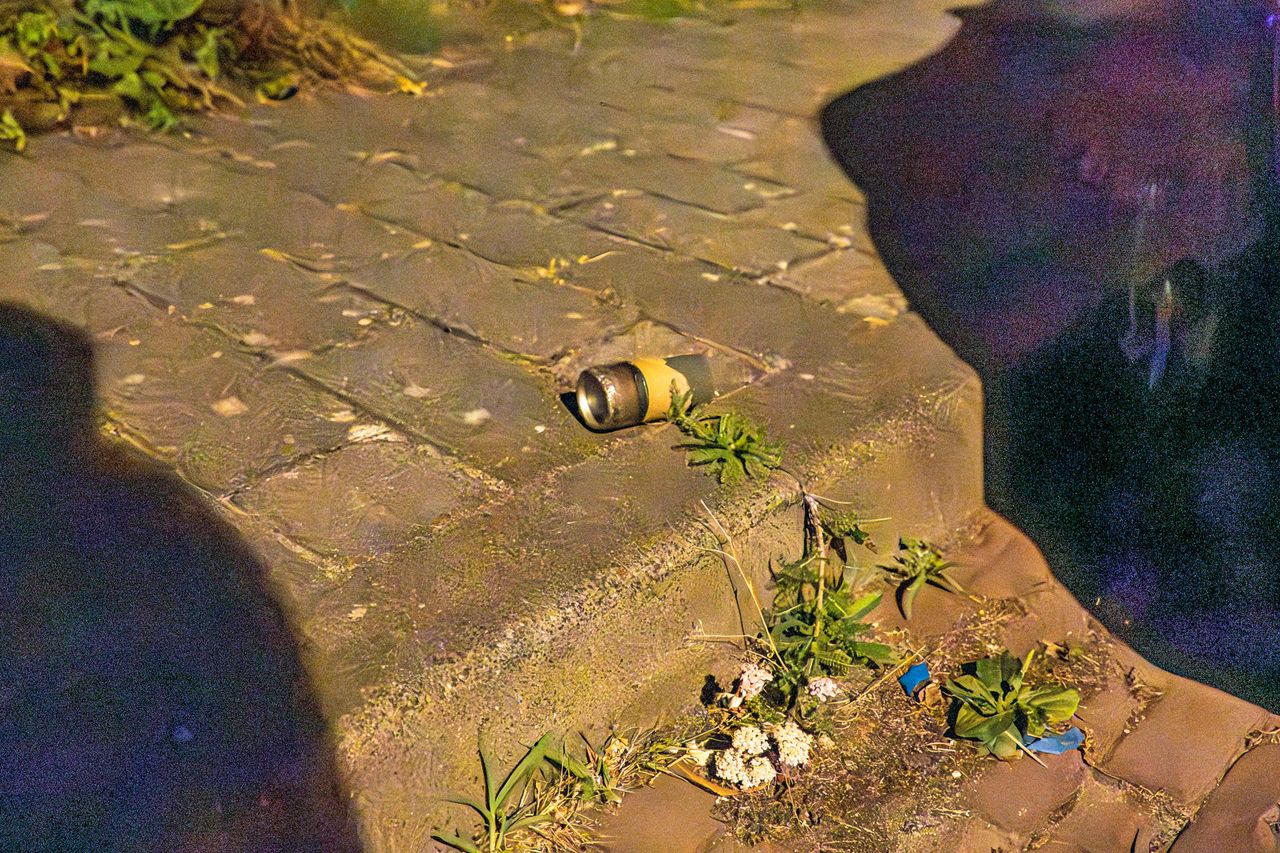 Foto: Harrie Grijseels/Persbureau Heitink.