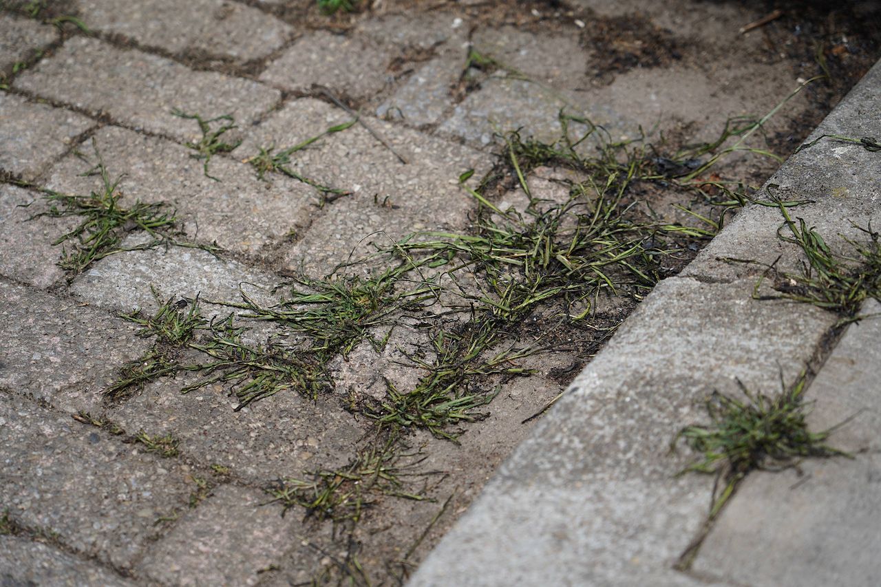 Foto: Jeroen Stuve / Persbureau Heitink 