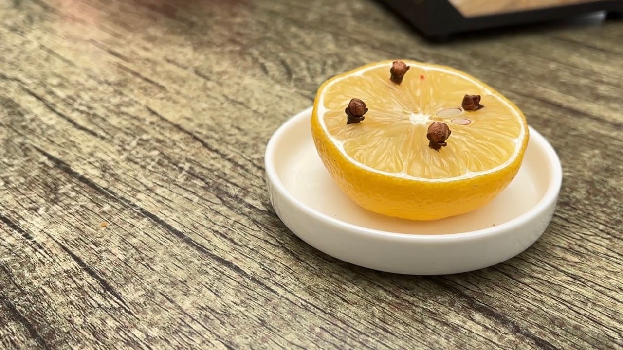 Wespenverjager op terras in Oirschot (foto: Studio040).