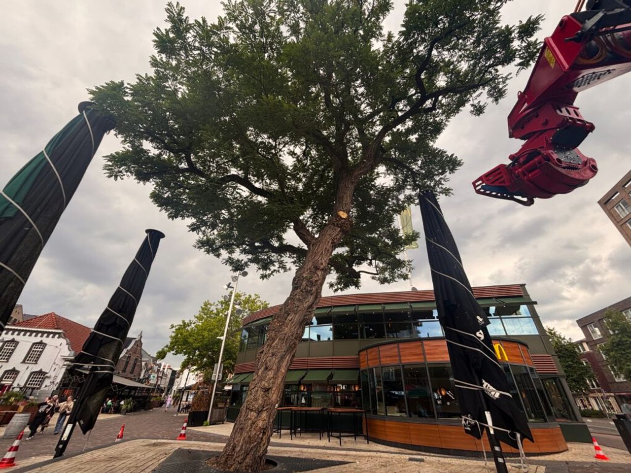 De boom stond gevaarlijk schuin (foto: Omroep Tilburg).