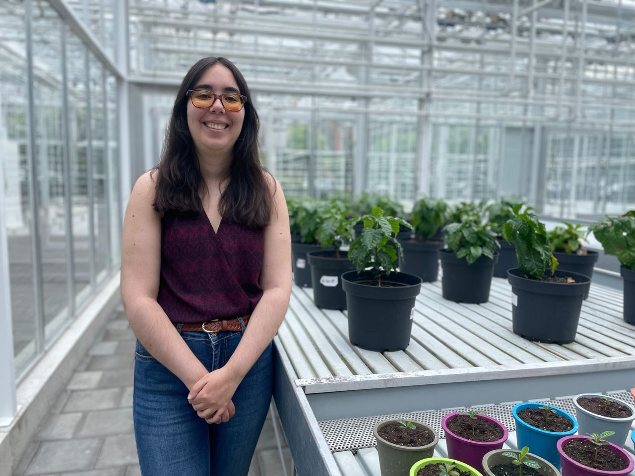 Alba Mouriz werkt nu ook in de koffieplantage (foto: Omroep Brabant).