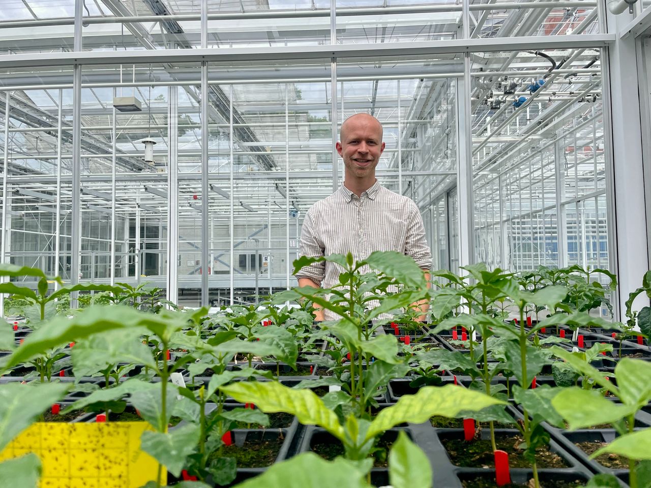 Docent Alex van Klink (foto: Omroep Brabant).