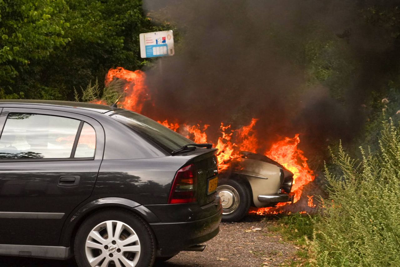 Foto: Harrie Grijseels/Persbureau Heitink.
